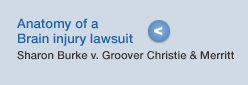Anatomy of a lawsuit